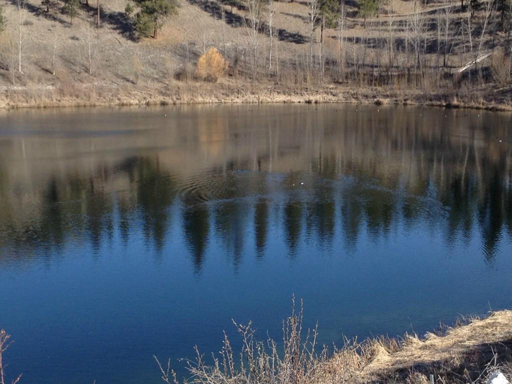 1 Mist Lake Rd - Photo 1