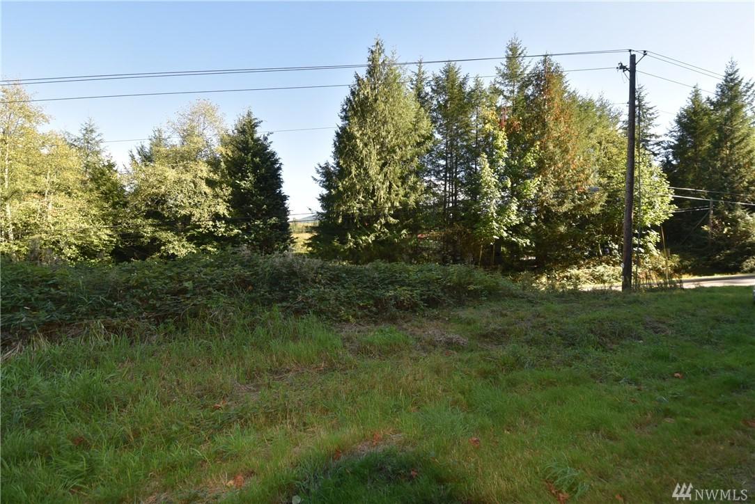 0 Cain Lake Rd - Photo 1
