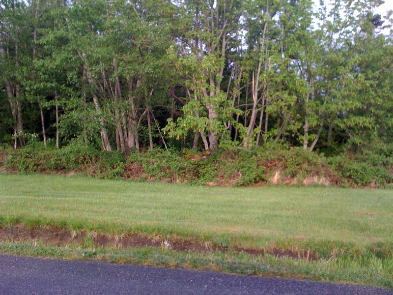 0 Chilliwack Rd - Photo 1