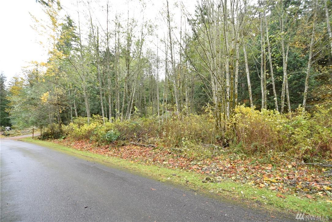 0-NHN Lost Creek Lane - Photo 1