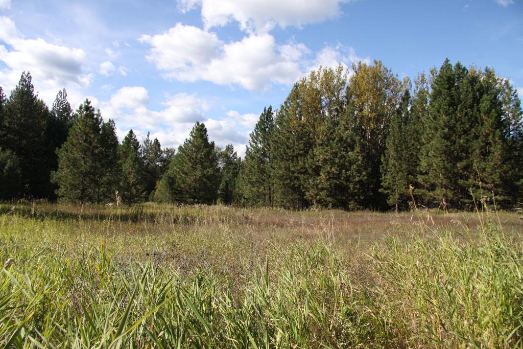 0-Lot 7 Methow Ranch Rd - Photo 1