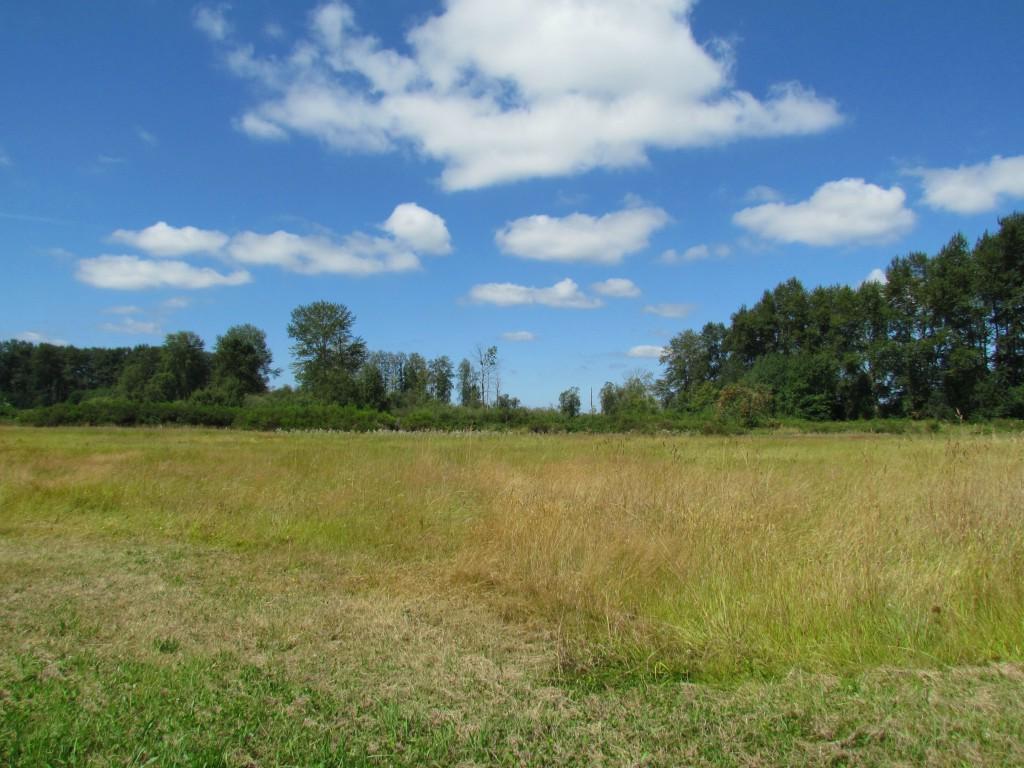 16-XXX 51st Ave - Photo 1