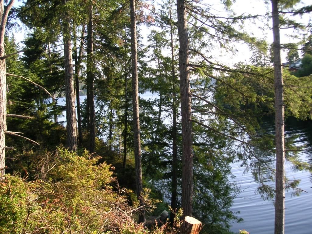4 Robbins Rd - Photo 1