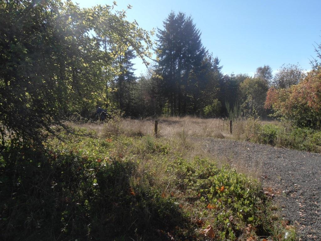1196 Koontz Rd - Photo 1