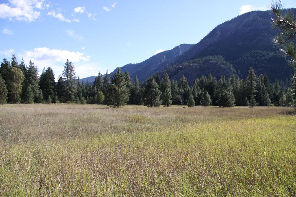 0-Lot 6 Methow Ranch Rd - Photo 1