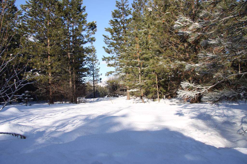 0-Lot 7 Methow Ranch Rd - Photo 1