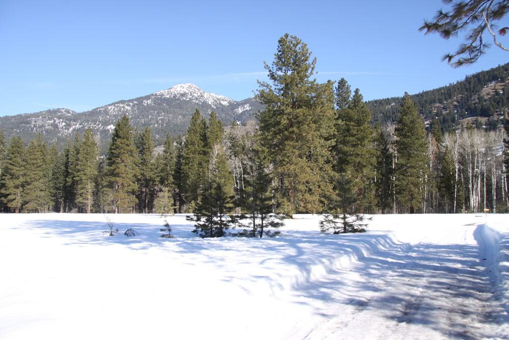 3 Mazama Meadows Lane - Photo 1