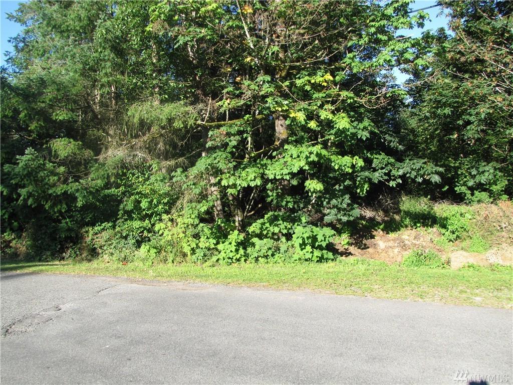244-XX 172nd Ave - Photo 1