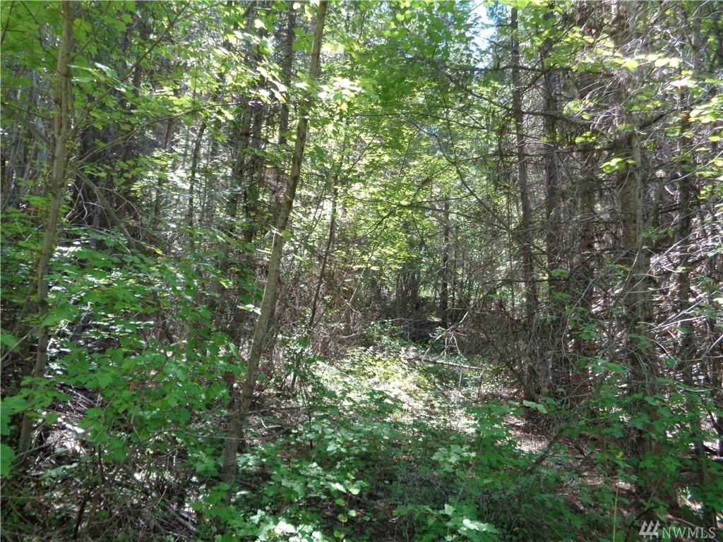 0-Lot 82 Lambert Lane - Photo 1