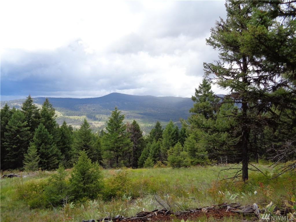 0-Lot 3 Old Knob Hill Spur Rd - Photo 1