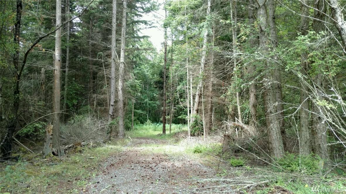 498 Plum Creek Lane - Photo 1
