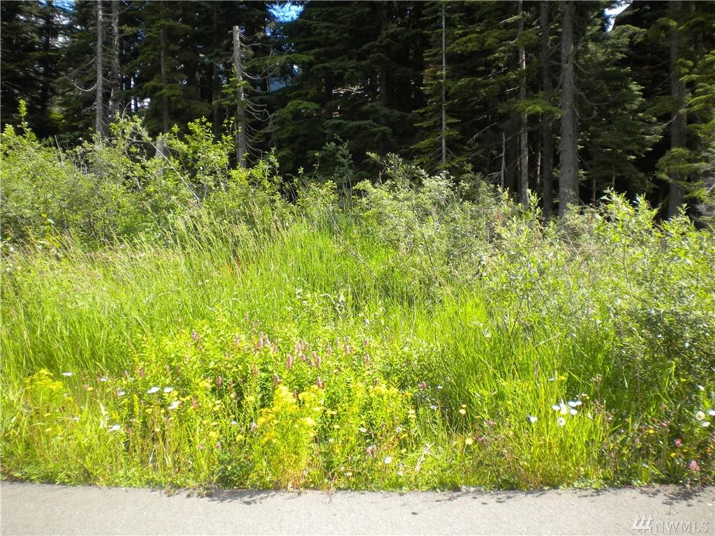 98 Guye Peak Lane - Photo 1