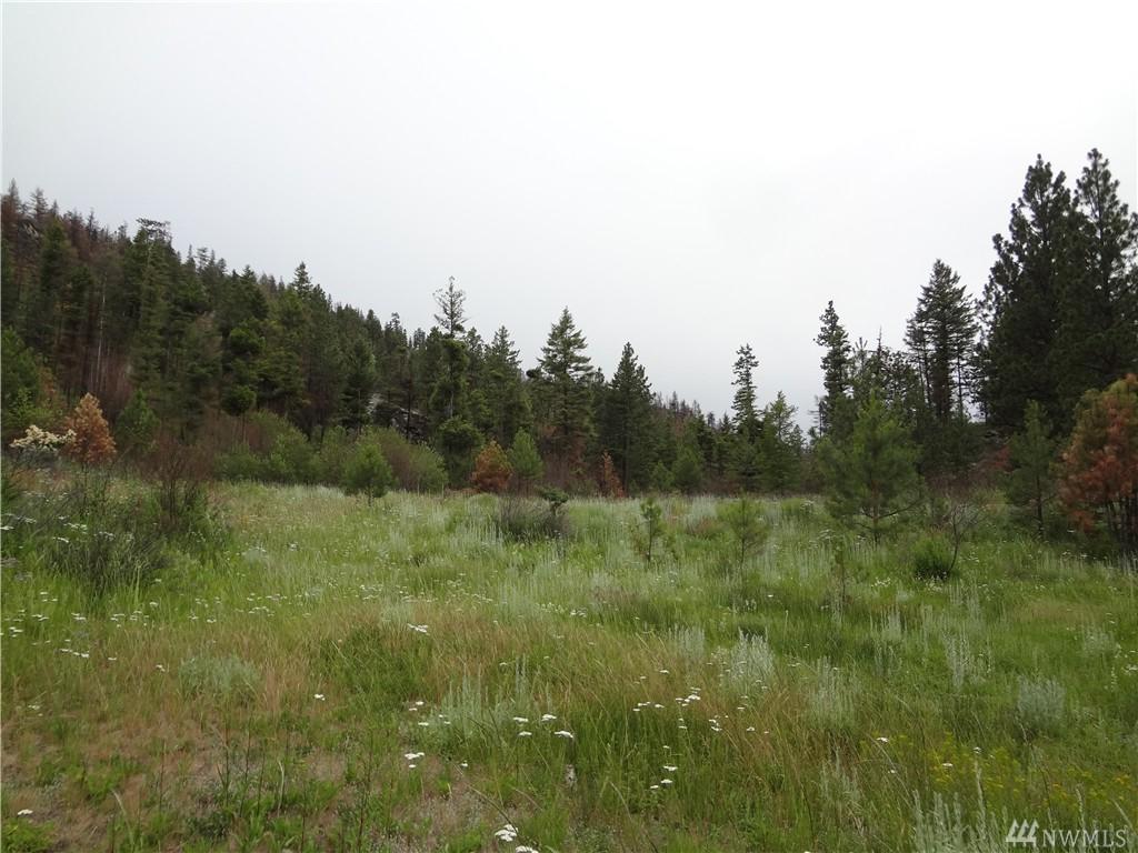33 Windhorse Rd - Photo 1