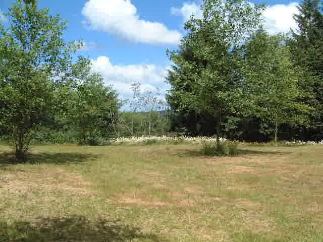 1350 Gruhn - Photo 1