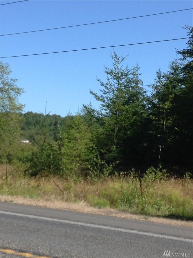 0 Birch Bay-Lynden Rd - Photo 1