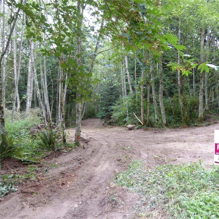 9999 Blyn Springs Rd - Photo 1