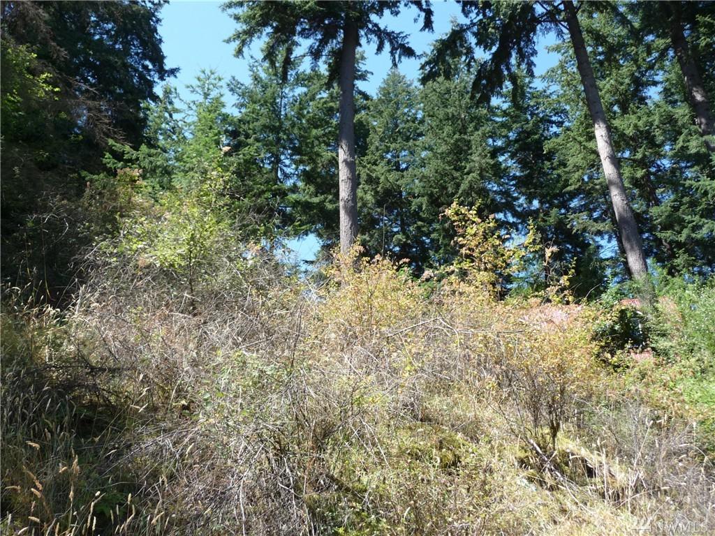 2963 Dogwood Terr - Photo 1