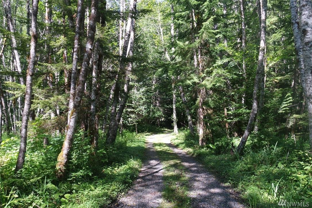 36916 State Road 706 - Photo 1