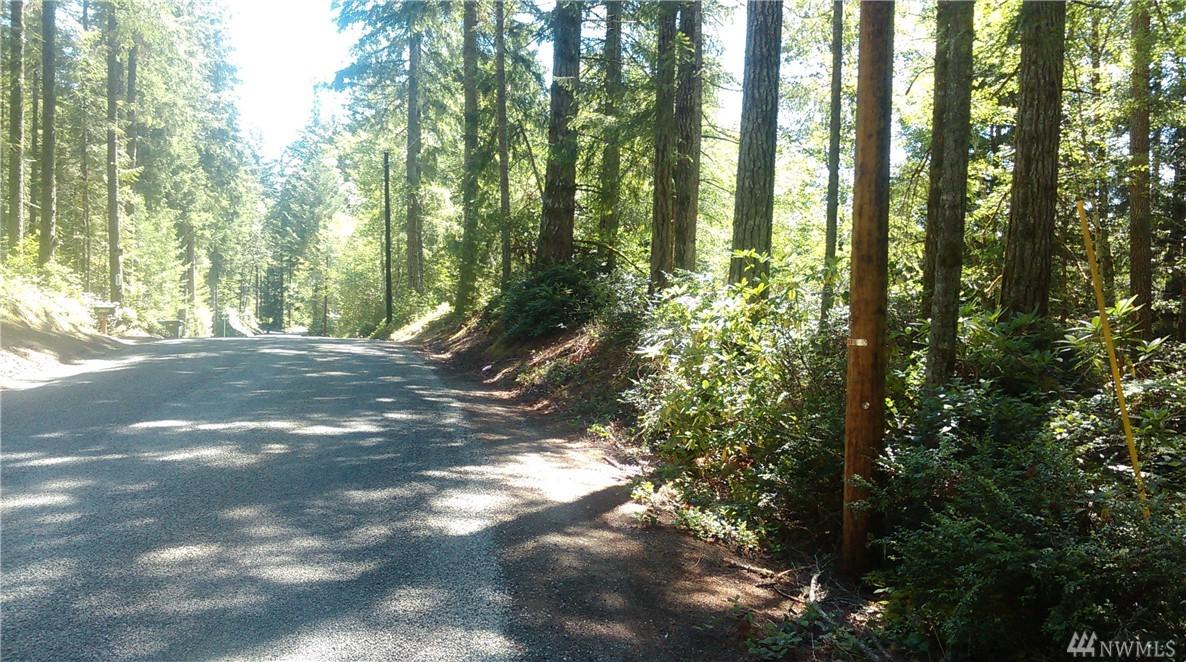 449 Lewis Rd - Photo 1