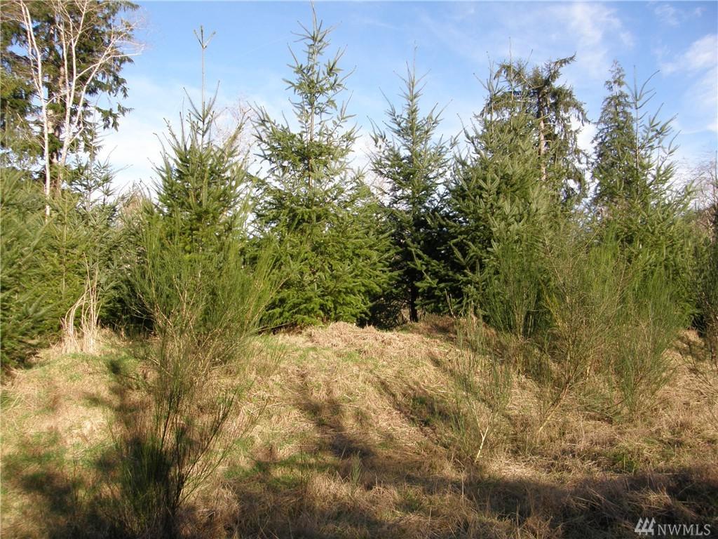 0-M.P. 1 State Route 107 - Photo 1