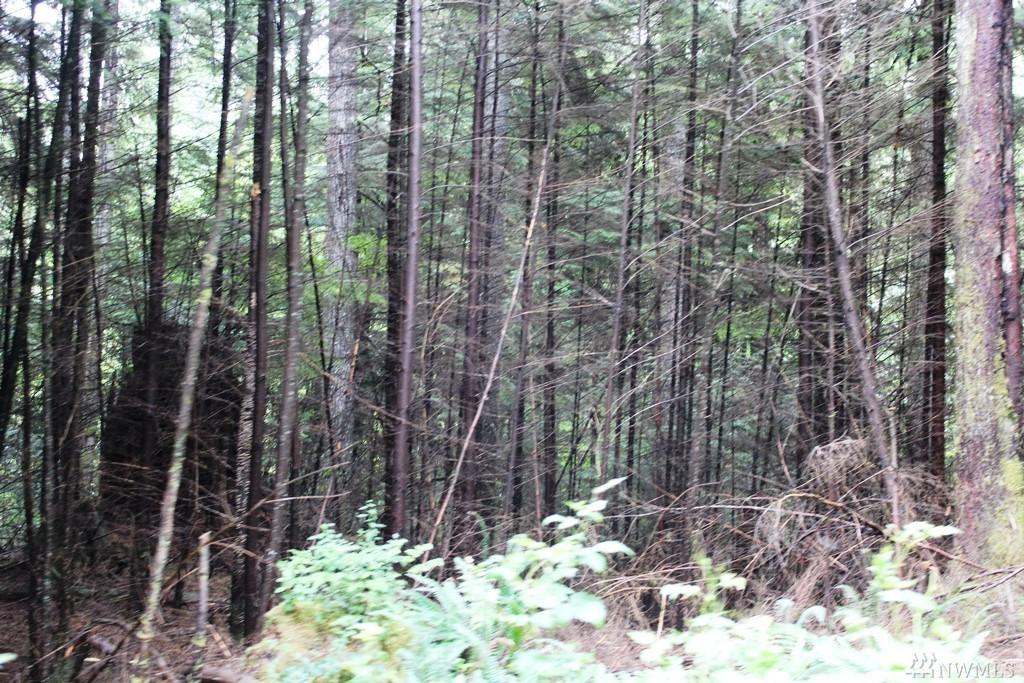 107-xx 329th Ave - Photo 1