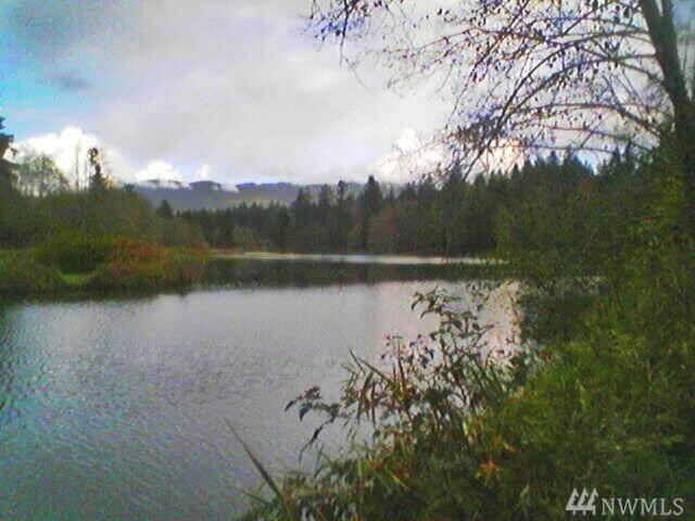 0 Lakeside Dr - Photo 1