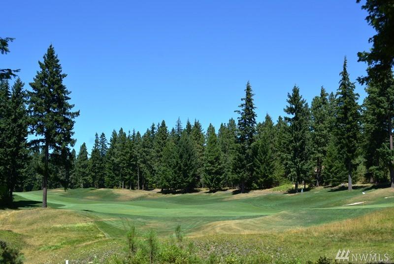 1360 Snowberry Lp - Photo 1