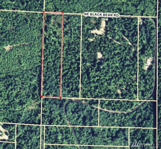 0 Black Bear Rd - Photo 1