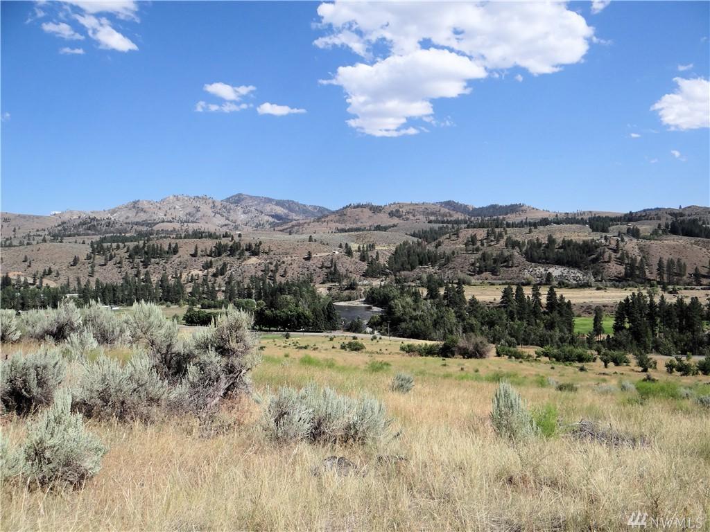 0-xxx Twisp Carlton Rd - Photo 1
