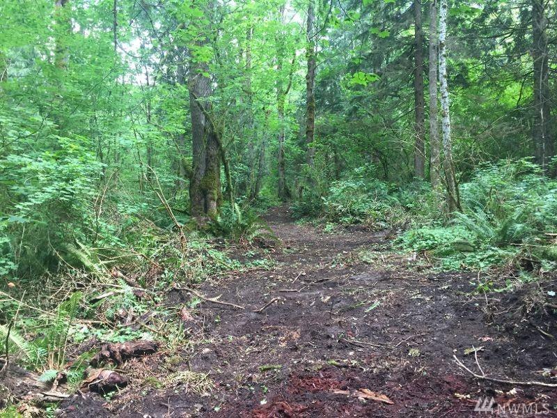 0 356th Ave - Photo 1