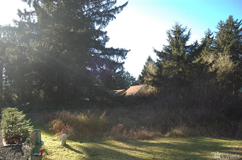 463 Quinault Ave - Photo 1