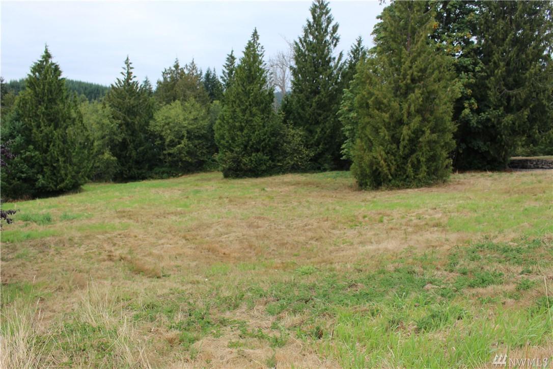 309 Basswood Dr - Photo 1