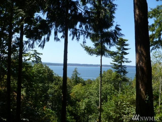 202 Woodbluff Lane - Photo 1