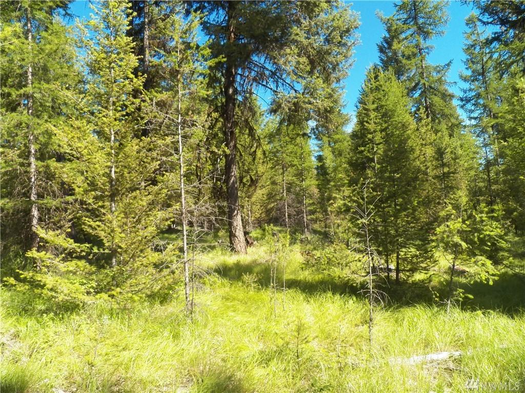0-tbd Prior Loop Rd - Photo 1