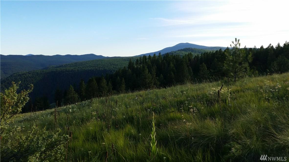 0-tbd Wannamaker Rd - Photo 1