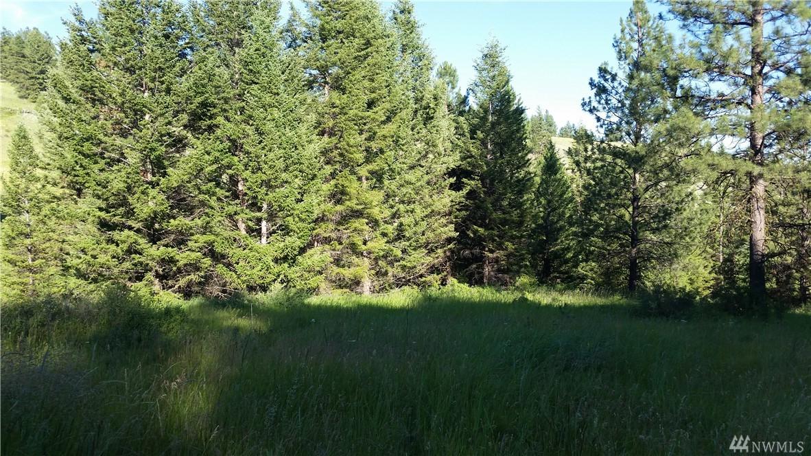 0-tbd Homeland Place - Photo 1