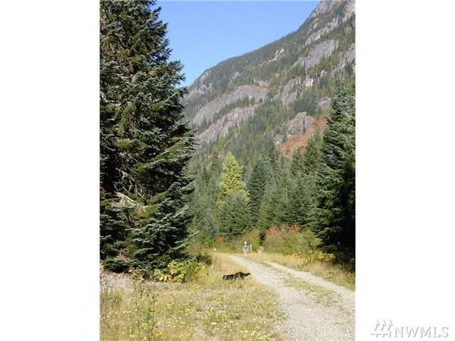 72 Alta Loop - Photo 1