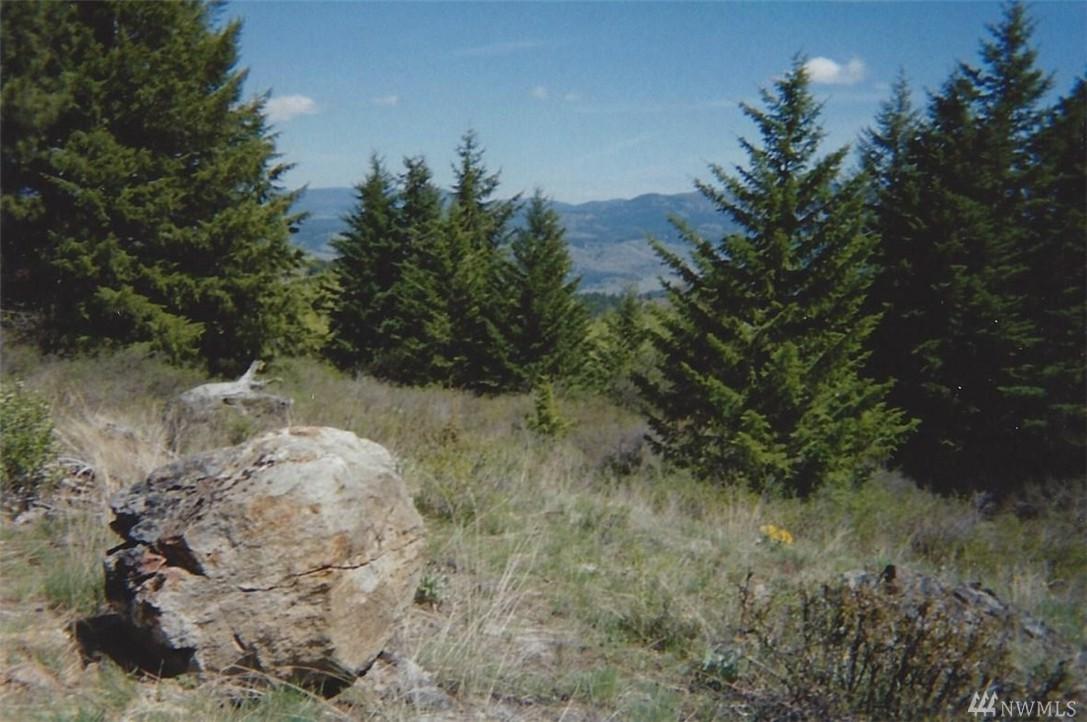 0 Empire Creek Rd - Photo 1