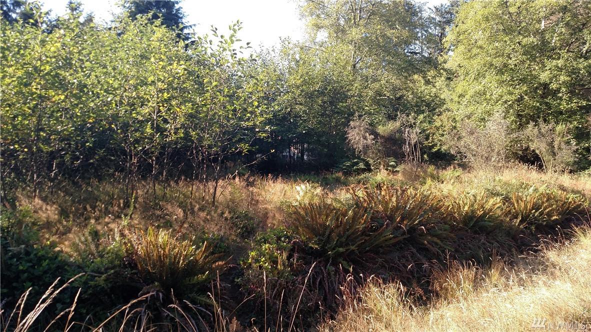 101 Sunrise Ave - Photo 1