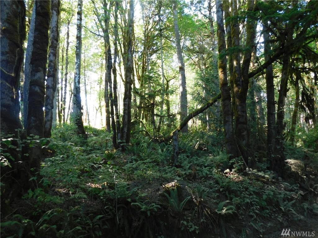 0-Lot 23 Alderwood Rd - Photo 1