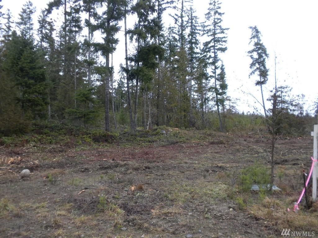 3-Lot Big Valley Rd - Photo 1
