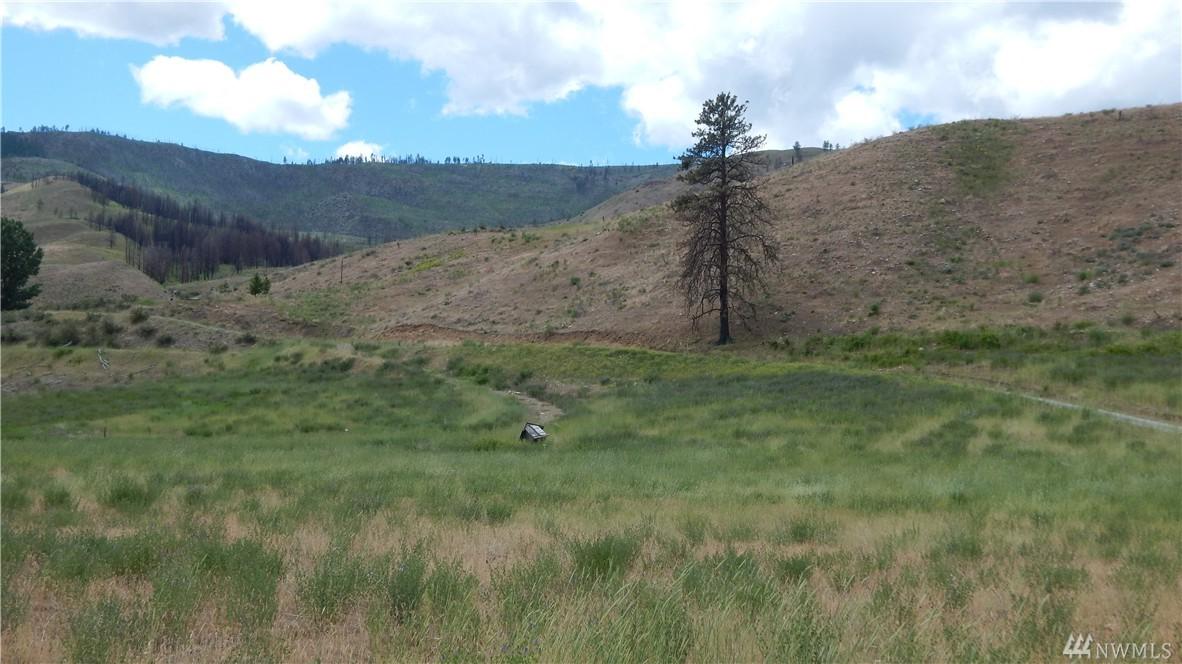 0 Big Pine Rd - Photo 1