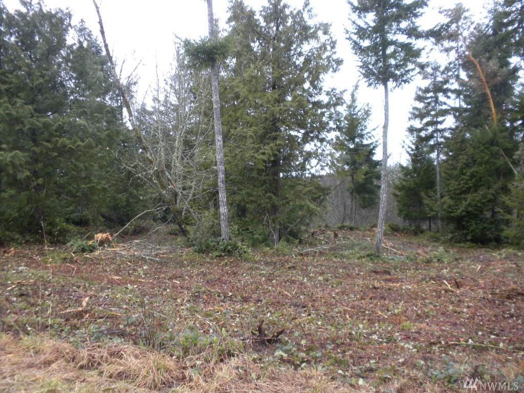 1-Lot Big Valley Rd - Photo 1