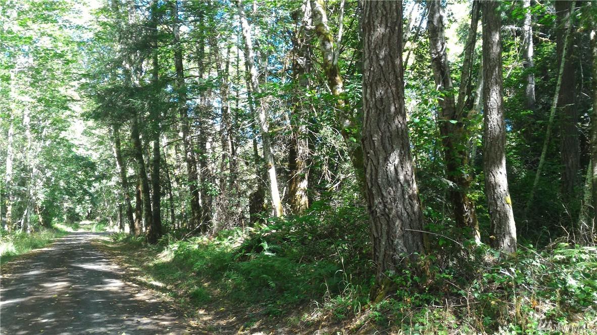 0 Mable Taylor Lane - Photo 1