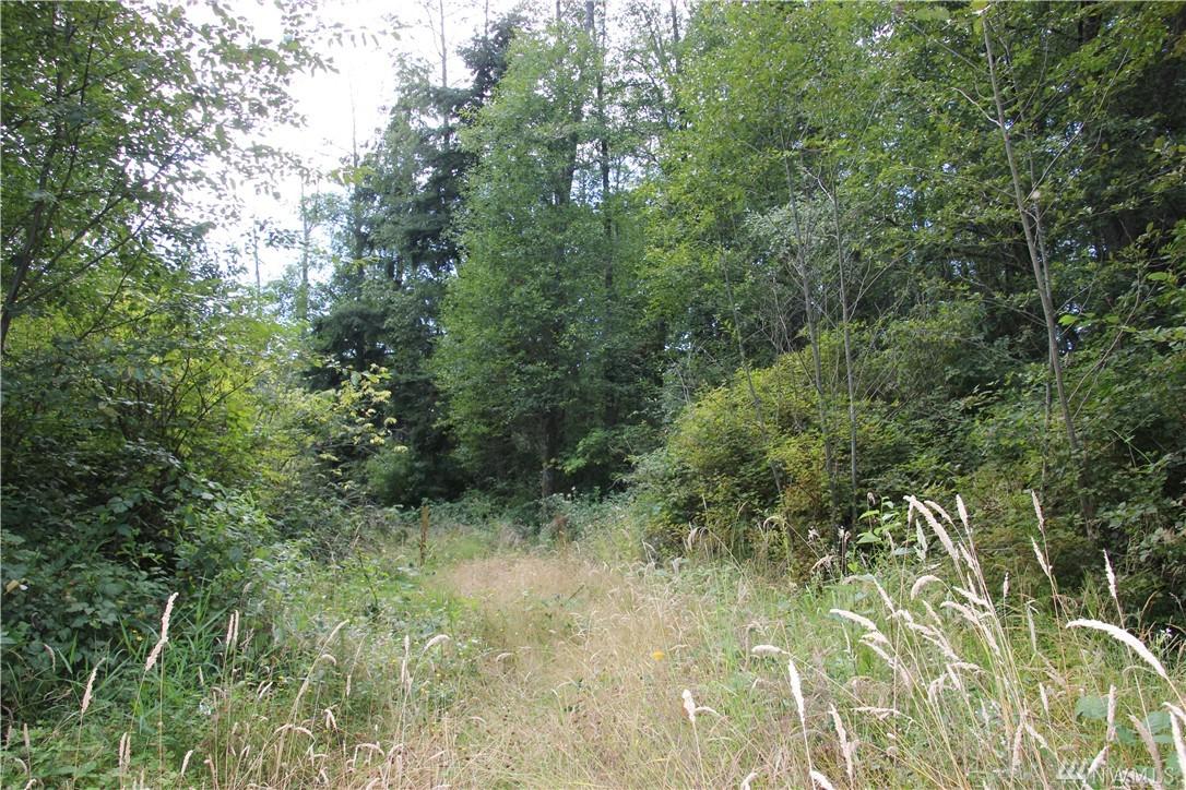 527 Cross Island Rd - Photo 1