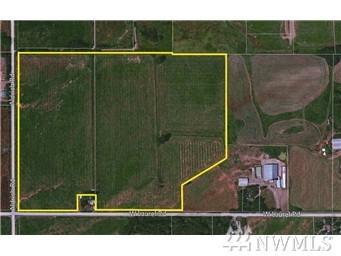 600 Laurel Rd - Photo 1