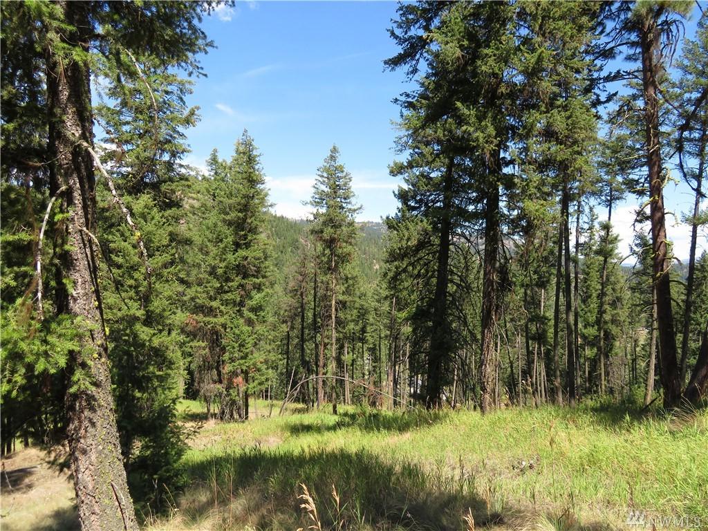 0-TBD Hwy 20 - Photo 1