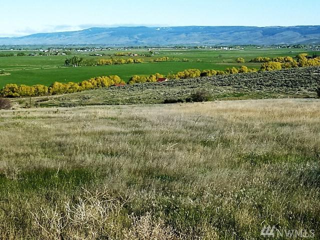 2952 Caribou - Photo 1