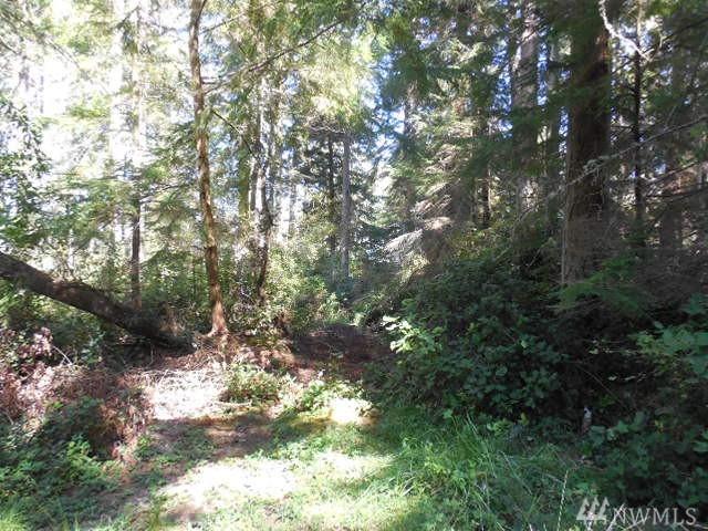 1749 Enstone Ct - Photo 1