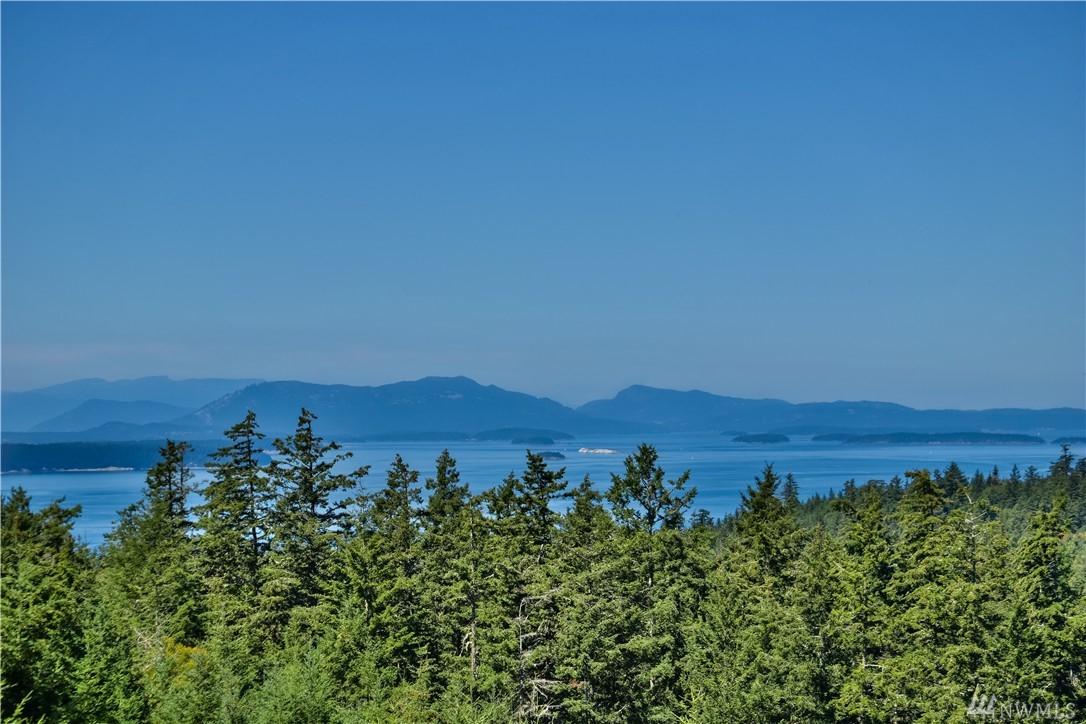 0 Mount Dallas Rd - Photo 1